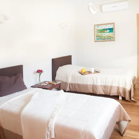 Ami 드루스키닝카이