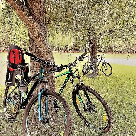 Ami Apartamentų viešbutis *